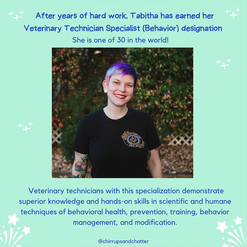 Tabitha Kucera, a registered veterinary technician (RVT) and a certified cat behavior training consultant, specialist in behavior
