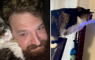 Babbs the cat adjusts thermostat, Cat Dad Adam Prejean