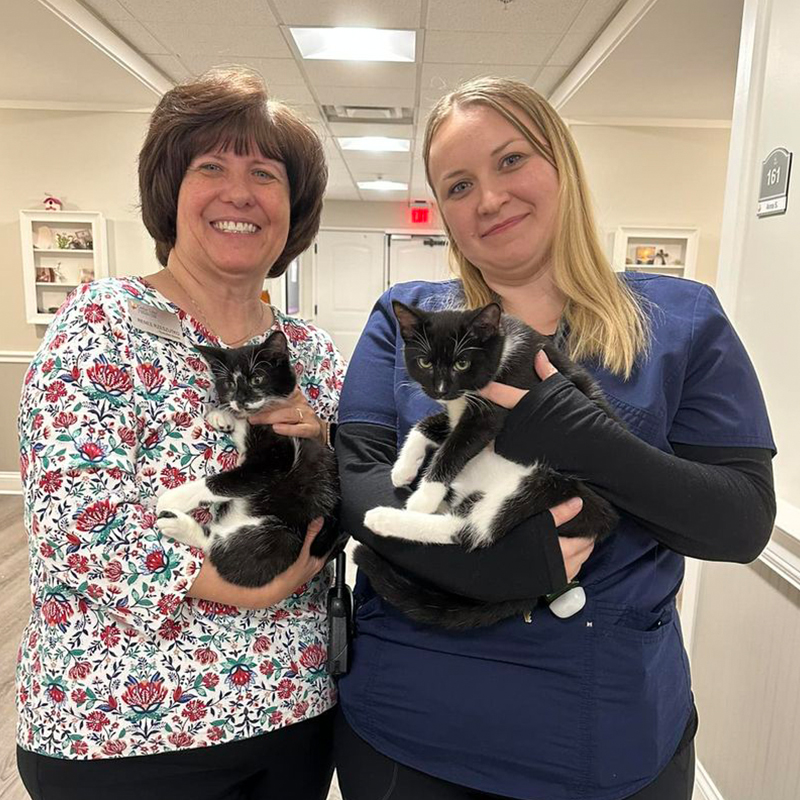 Nurses from Cedar Lake Assisted Living center with foster kittens from Purrfect Cat Rescue Inc.