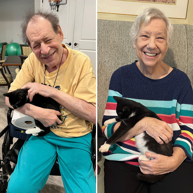Residents of Cedar Lake Assisted Living center with foster kittens from Purrfect Cat Rescue Inc., 2