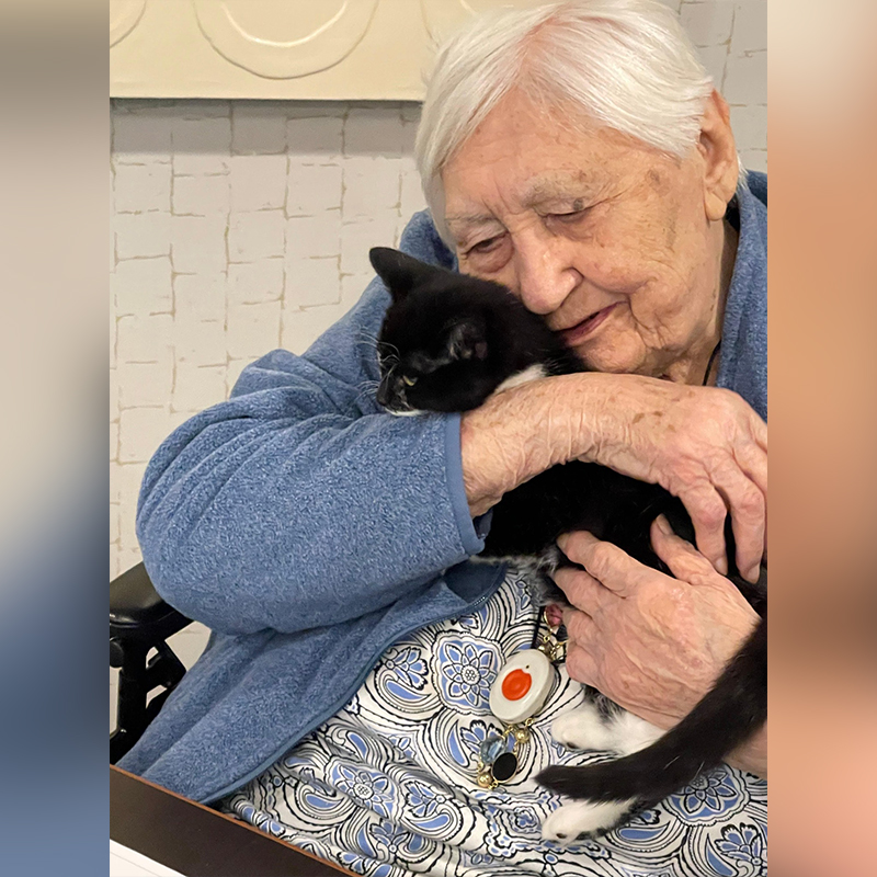 assisted living center resident with foster kitten in Zurich, Illinois