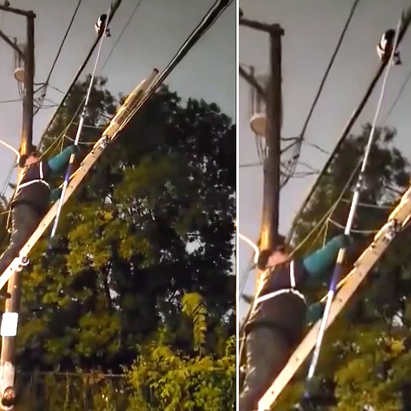 Cowboy Cat Wrangler of Philly saving Tightrope Cat by guiding it along