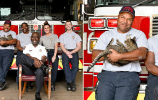 City of Greensboro Fire Department, Station No. 19, cat named Scrappy