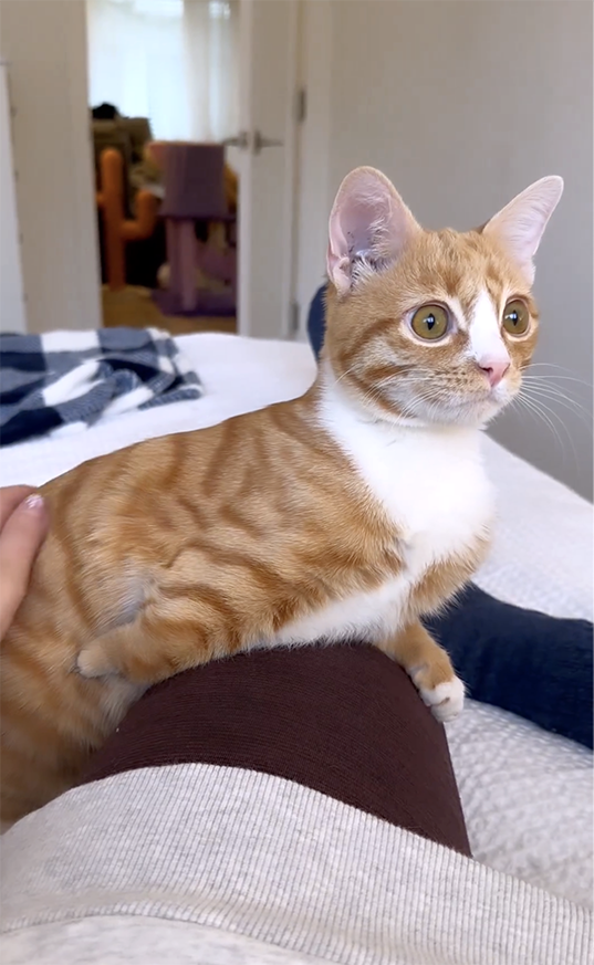 We love sharing happy updates, purrticularly