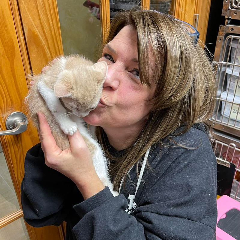 Deb from Purrfect Cat Rescue, Inc. in Crystal Lake, IL