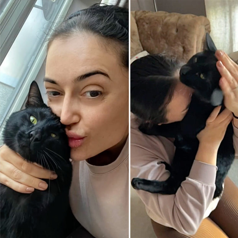 Camera Catches Emotional Reunion for Mom and Missing Cat