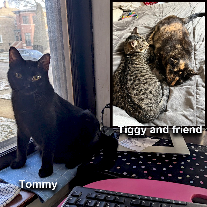 Tommy and Tiggy with a friend
