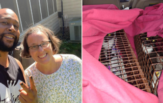 Trap King Sterling Davis helps Sally in Atlanta TNR feral cats
