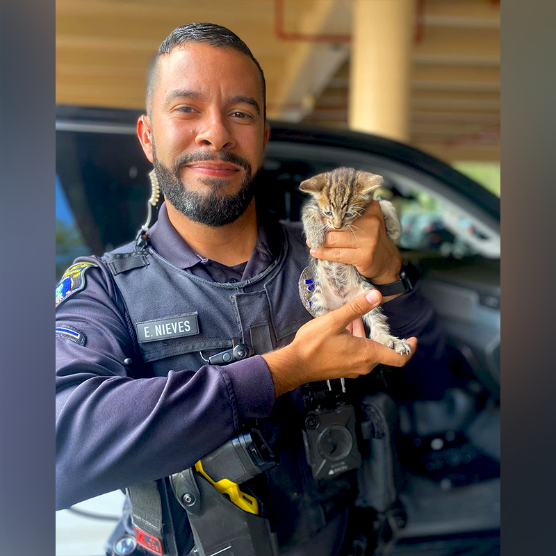 Florida Police Officer with kitten named Waffle