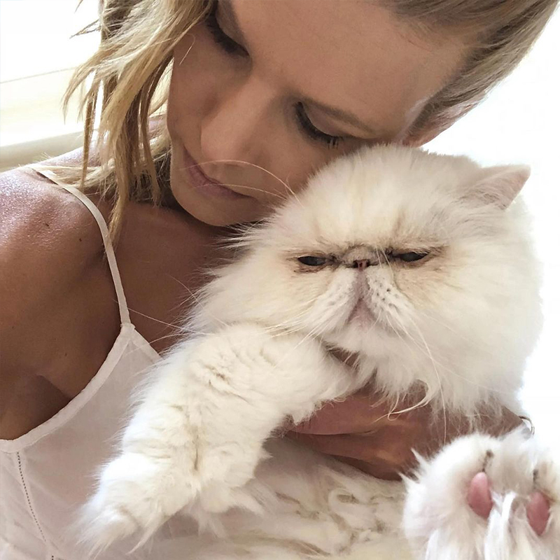 Beth Stern holding Yoda the Persian rescued cat