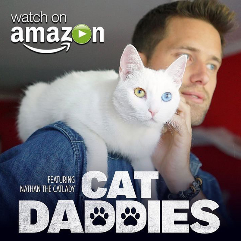 Nathan the CatLady in Cat Daddies
