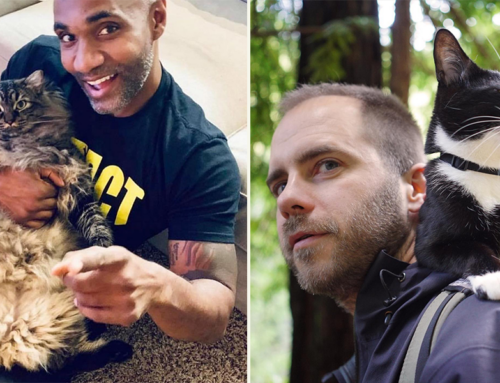 Cat Daddies Across America Share Their Stories of Loving Cats