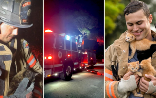 Daytona Beach Fire Department, kitten rescue, fireman Tonja Heer and Matthew Roos, Furry Nation Salvation, Heroes and Rescued Pets Calendar
