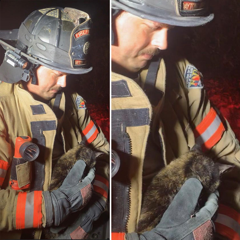 Daytona Beach Fire Department rescued tortie kitten