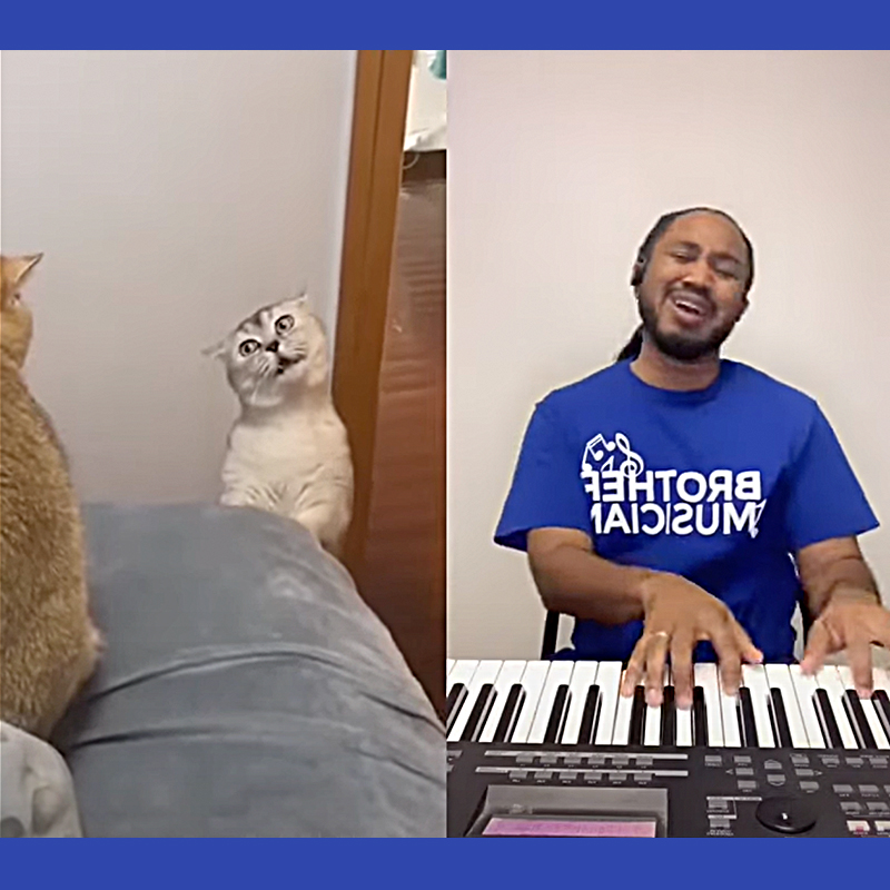 Kevon Carter, musician and comedian from Chicago with singing cat, meowsic
