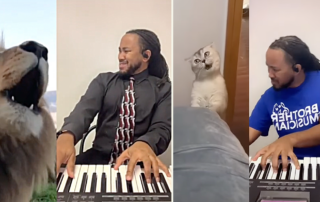 Kevon Carter plays keyboard to cat meowsic, gospel