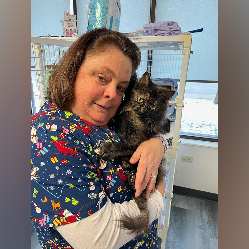 rescuer holds Lena the tortoiseshell at the holidays, Animal Services & Assistance Programs Inc. (ASAP)