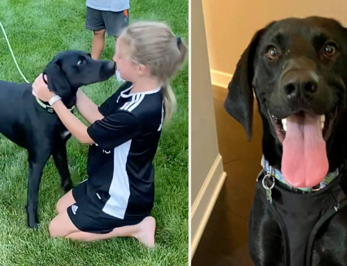 Michigan Family Shares Cutest Adoption Story Ever of Rescued Dog Loki