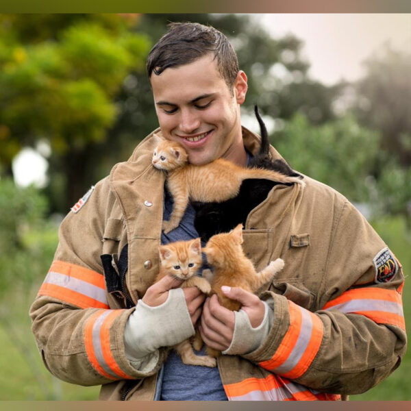 Daytona Beach Firefighters Come To The Rescue For Cats