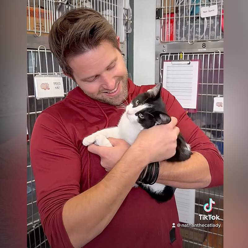 Nathan the CatLady helps cat at Stray Cat Alliance, Los Angeles