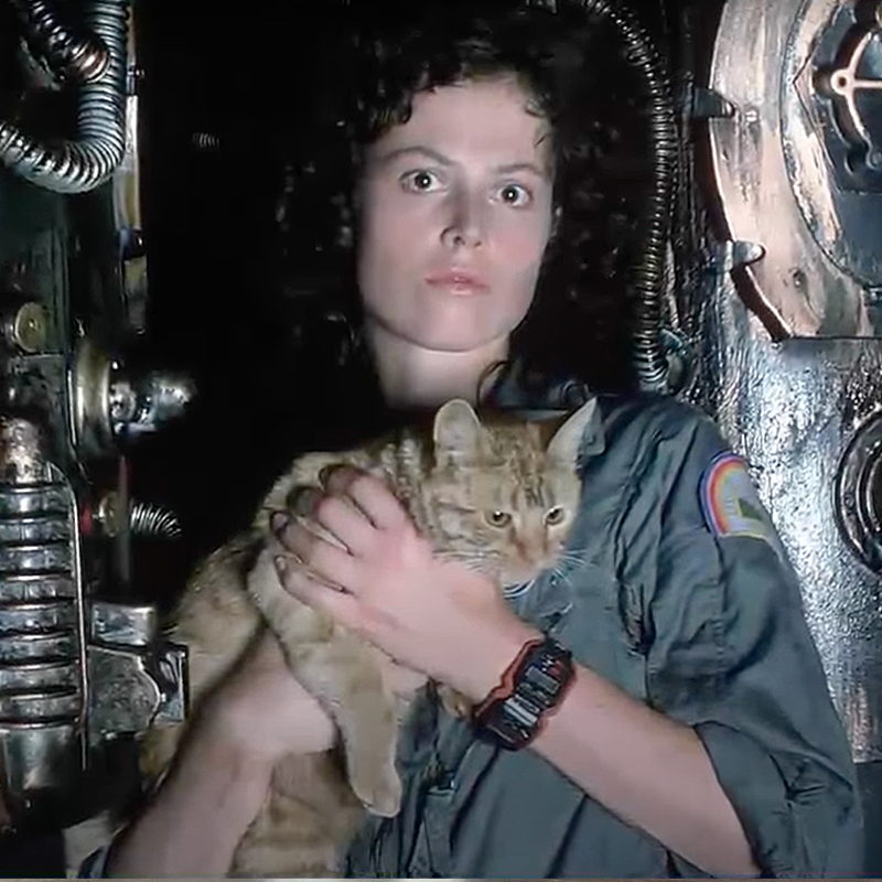 Ellen Ripley (Sigourney Weaver) holding Jones or Jonesy from the Aliens franchise