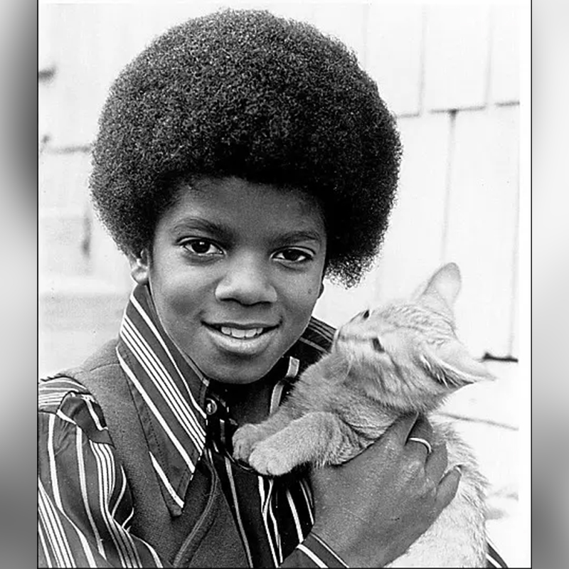 Young Michael Jackson holds a kitten