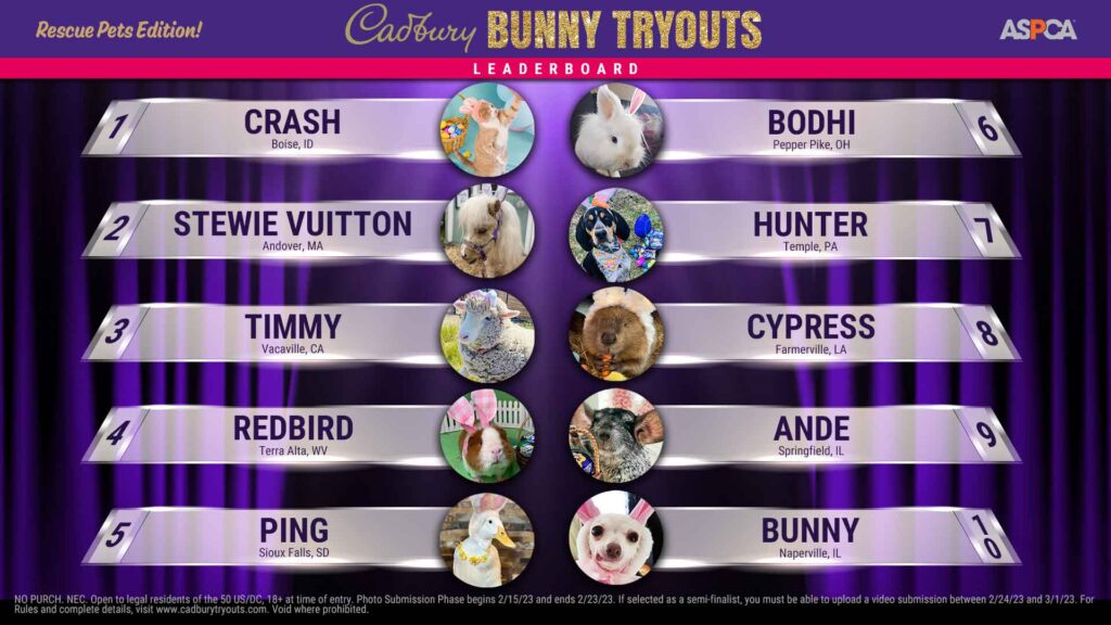 Cadbury Bunny contestants for 2023