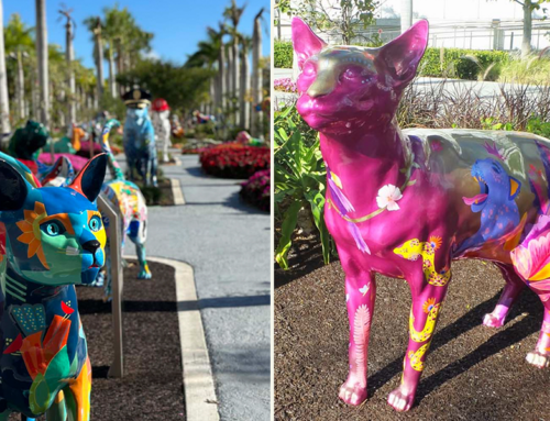 The Largest Garden in Miami is Now Home to 52 Giant Cats and Dogs