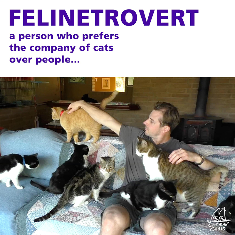 Felinetrovert by Cat Man Chris via Facebook