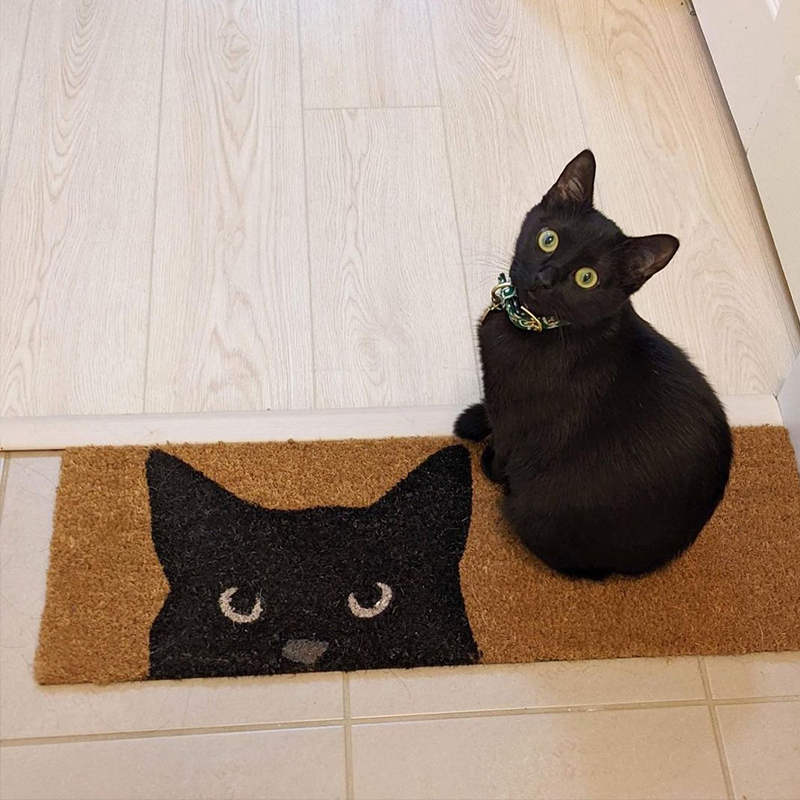 Welcome mat that has black cat with black cat sitting on it.