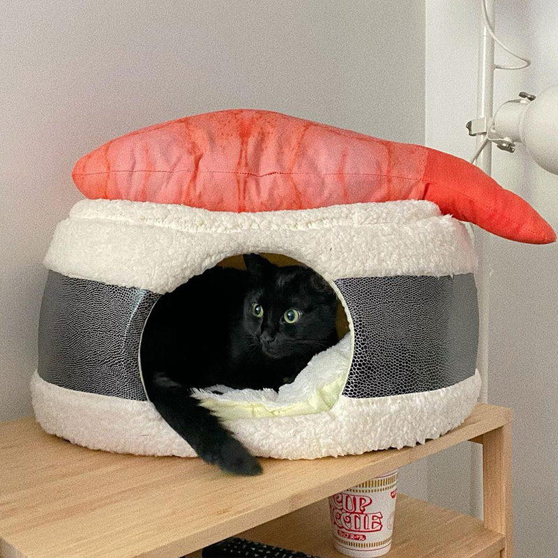 Black cat in her sushi bed.