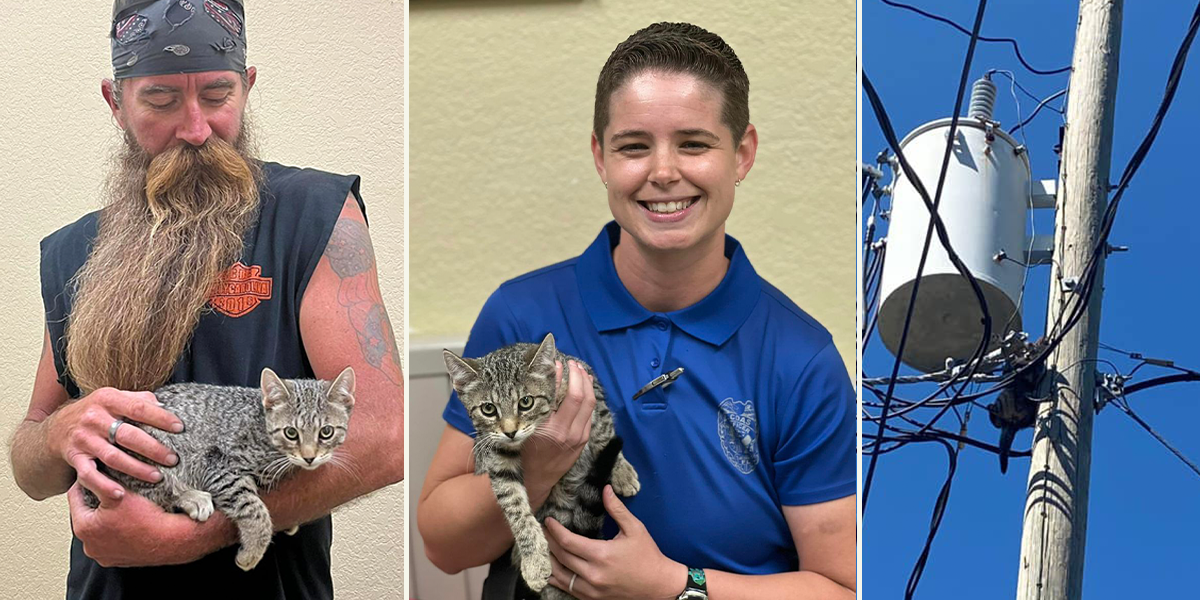 Sparky the kitten rescued and adopted by Officer Sue Byler, San Carlos Park, Florida