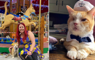 Captain Patch, the Amazing AcroCats, cats with osteoarthritis (OA), Debra Baumann