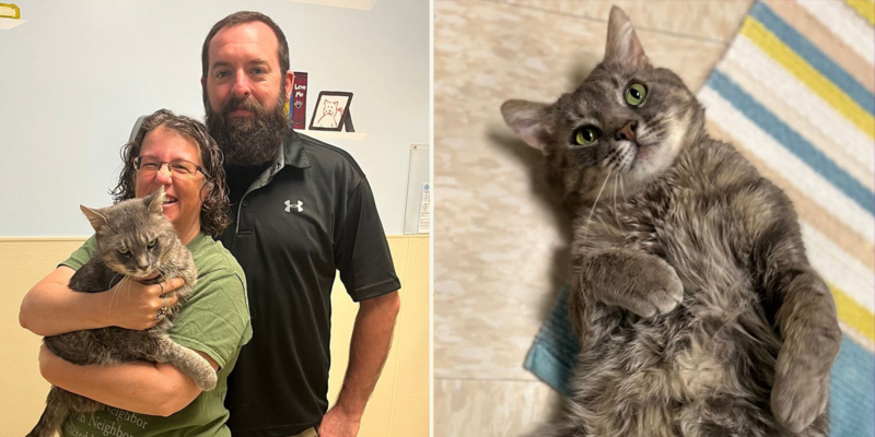 Family Adopts the 'King of Snuggles,' Corbin the Lovable FIV+ Cat