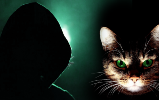 Furensic Evidence, forensic evidence, cat hair, DNA used to solve crimes, mitochondrial DNA from cat fur