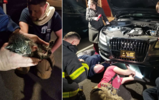 Lincoln fire company rescuing a kitten from a car during severe storms.