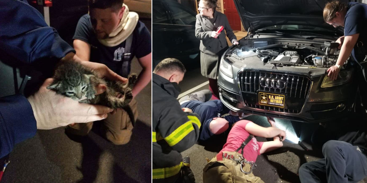 Lincoln fire company rescuing a kitten from a car during severe storms.