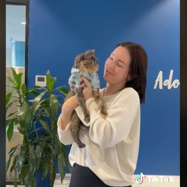 Lovely cuddling with her new owner.