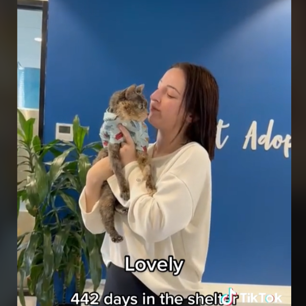 Lovely and her new owner.