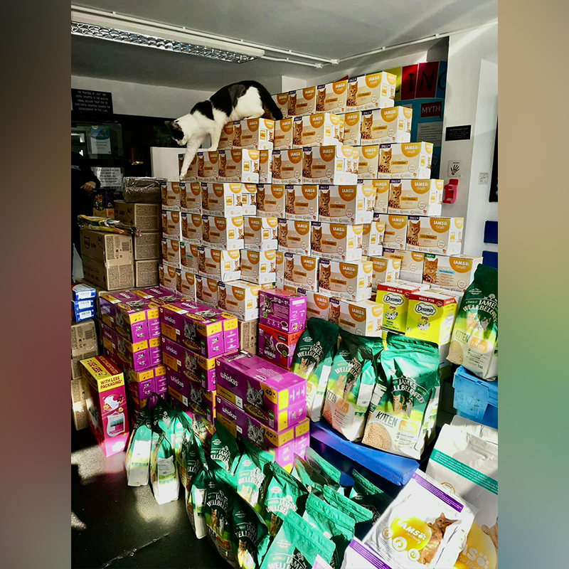 Supplies donated to the rescuers at Celia Hammond Animal Trust, UK