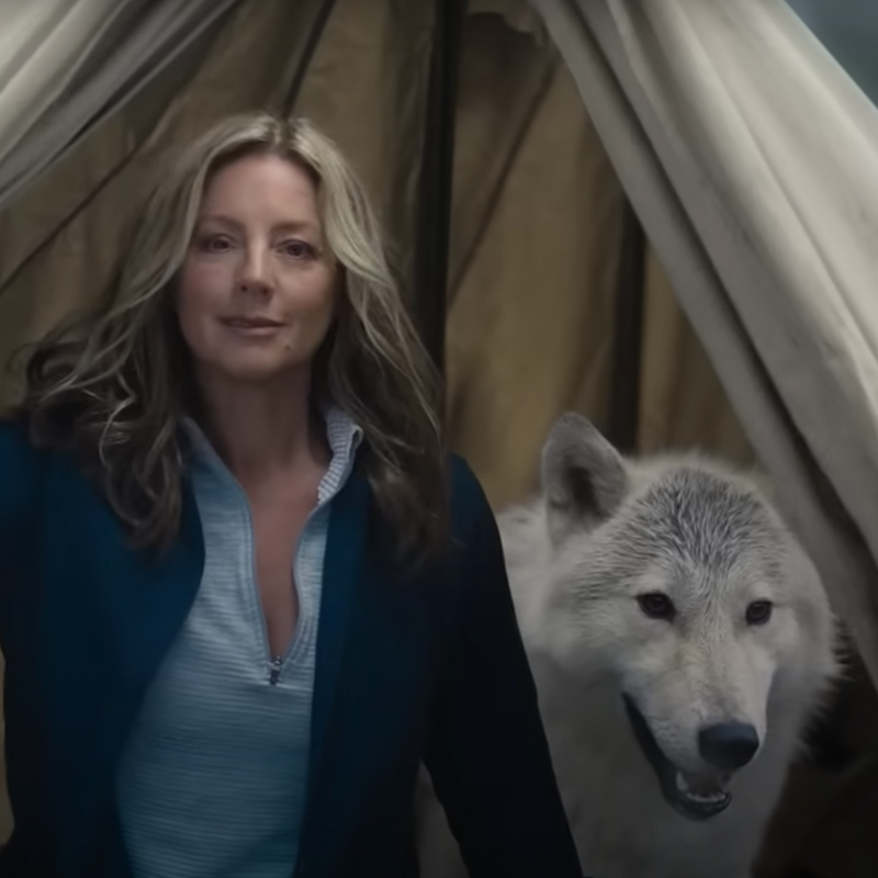 Sarah McLachlan in spoof of her ASPCA commercials for the Super Bowl