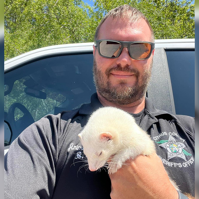 Citrus County Animal Control Deputy and ferret
