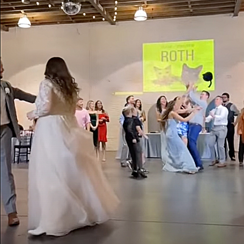 Cat toss, FairyTail Pet Care, Tampa, Bride thows a plush cat instead of bouquet, Wedding
