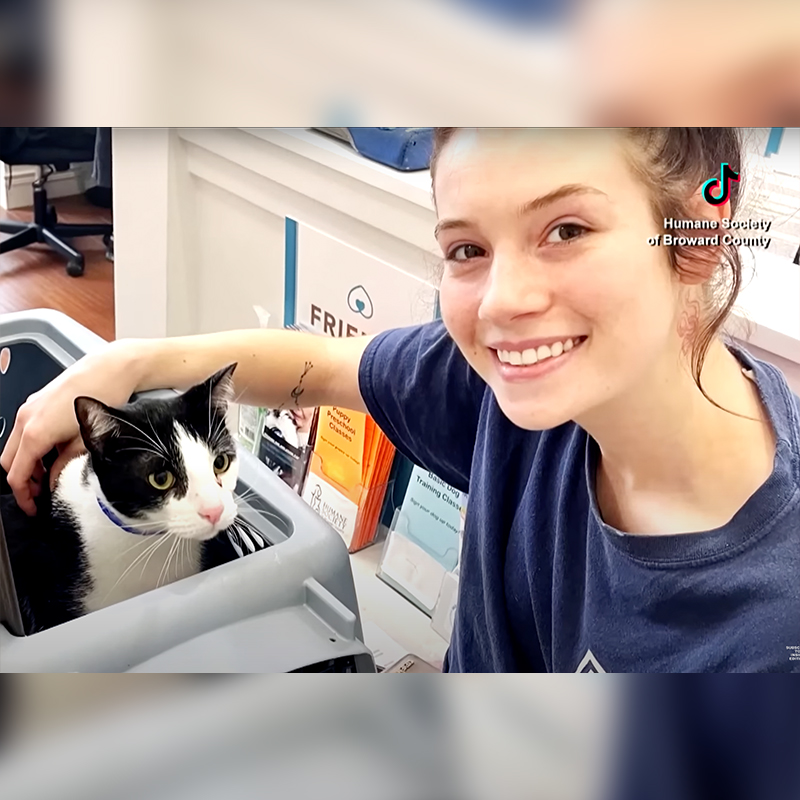 woman adopts cat surrendered for being too affectionate
