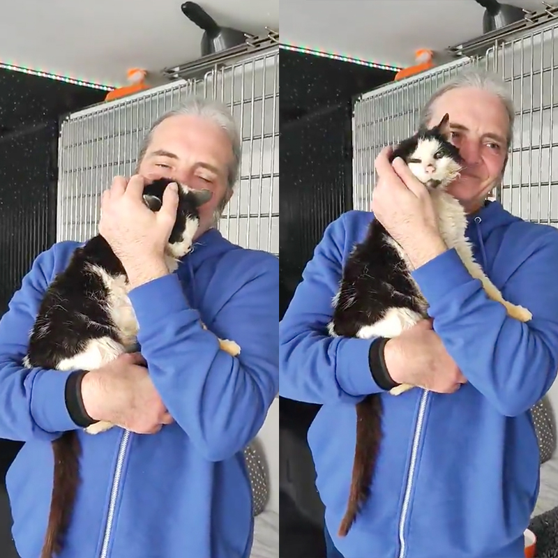 Dean Lyng and Kizzy the cat have a joyful reunion at /Animals Lose and Found in Kent, 2