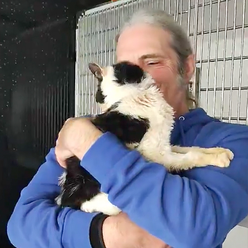 Dean Lyng and Kizzy the cat have a joyful reunion at /Animals Lose and Found in Kent, 3