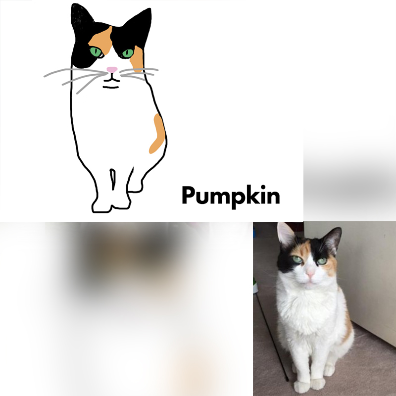 Pumpkin the Poet cat drawing and photo