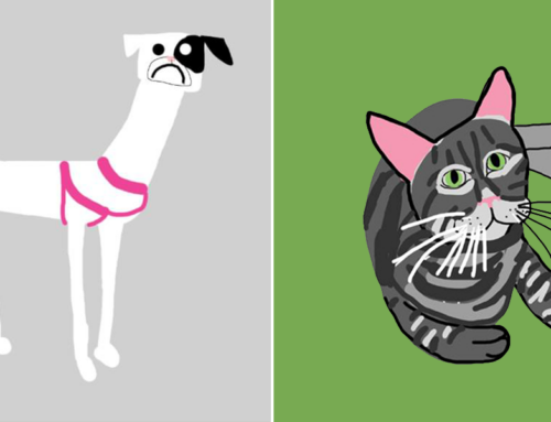 Funny Drawings of Adoptable Shelter Pets Stop Viewers in Their Tracks