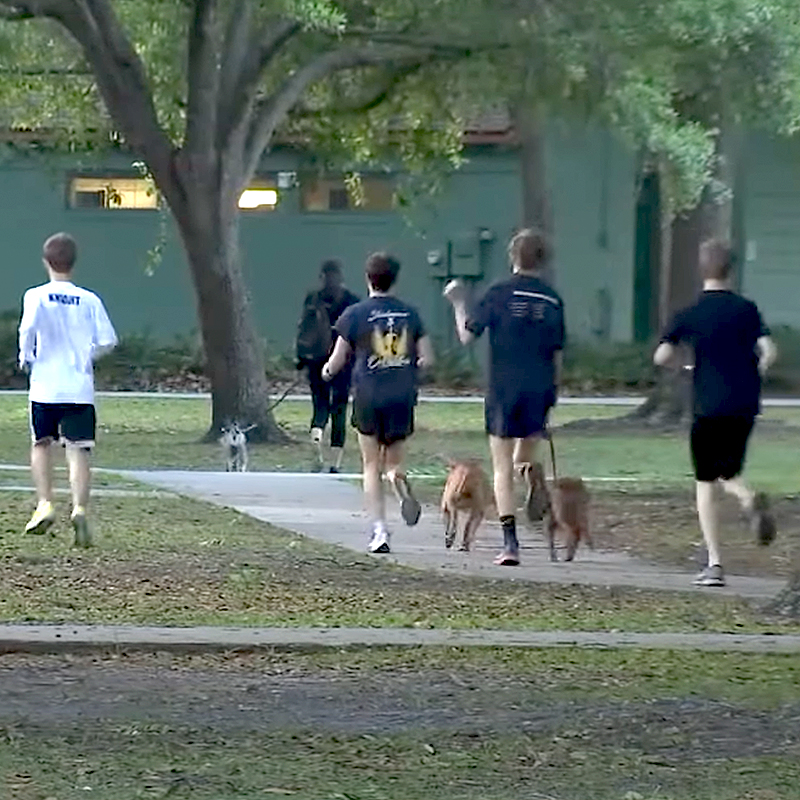 Steinbrenner High School Boys Cross-Country Team with dogs from Humane Society of Tampa Bay via YouTube/Fox13 Tampa Bay