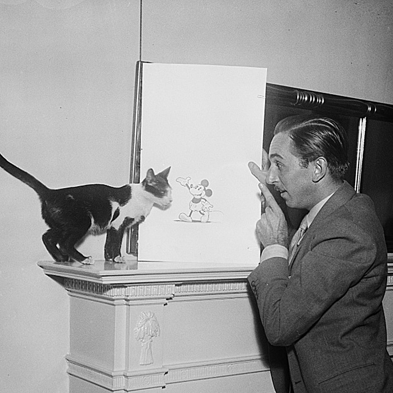 Walt Disney with a cat and Mickey Mouse